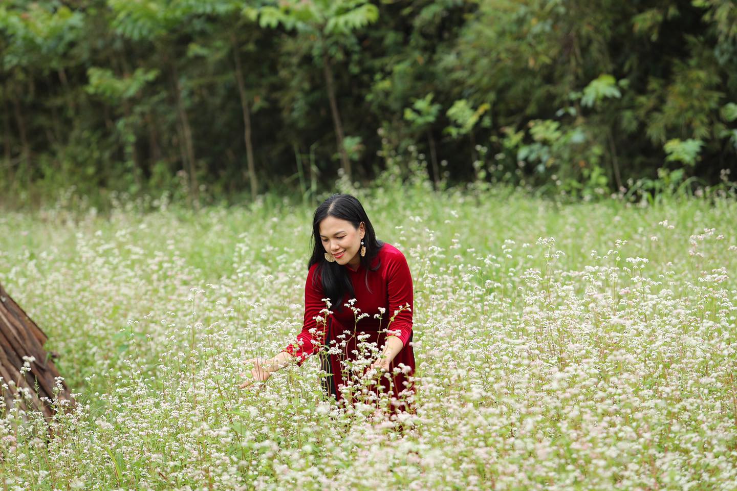 GHÉ COVY FARM, TẬN HƯỞNG KHUNG CẢNH “ĐÀ LẠT” GIỮA LÒNG BÀ RỊA - VŨNG TÀU