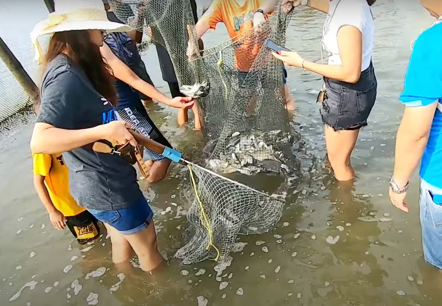 TRẢI NGHIỆM BAO ĐĂNG BẮT CÁ TỰ NHIÊN Ở VŨNG TÀU CỰC THÚ VỊ, BẠN ĐÃ THỬ CHƯA?