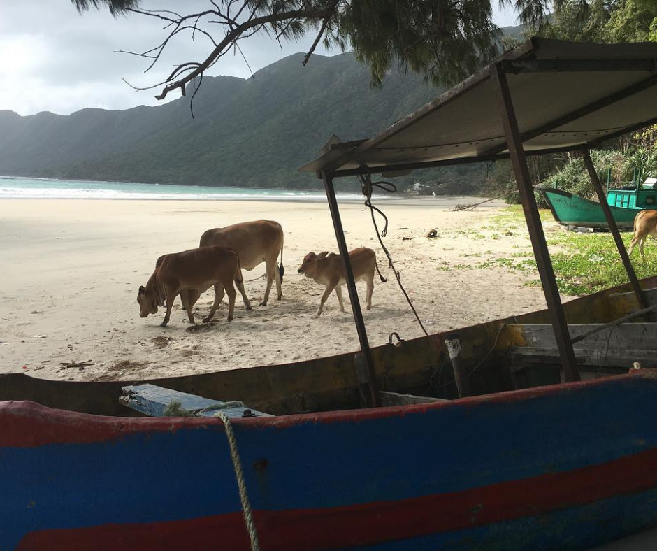 ĐẮM MÌNH TRONG KHÔNG GIAN TRONG LÀNH VÀ VẺ ĐẸP HOANG SƠ CỦA BÃI BIỂN AN HẢI CÔN ĐẢO