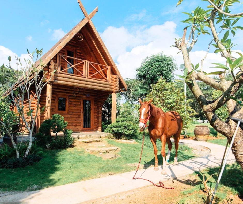 HÒA MÌNH VÀO THIÊN NHIÊN GIỮA NÔNG TRẠI GREEN FIELD FARMSTAY BÌNH YÊN XINH ĐẸP