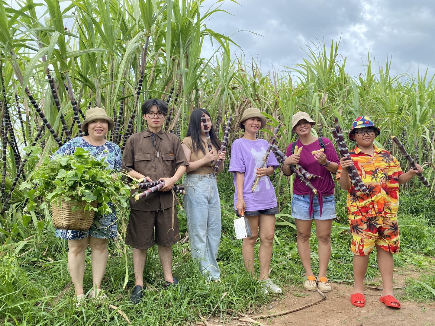 Không đâu khác chính là những ruộng mía xanh rì trải dài đến vô tận ở tại Bumking Resort, Huyện Xuyên Mộc, Tỉnh Bà Rịa Vũng Tàu.