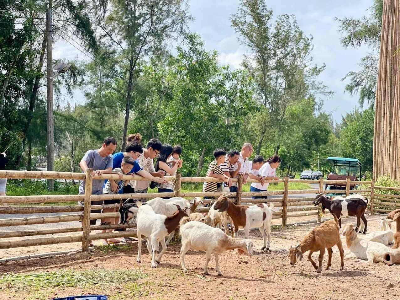 Hodota Hồ Tràm còn được nhiều gia đình trẻ biết đến với hoạt động chèo sup câu cá thư giãn trên làn nước biển xanh vắt