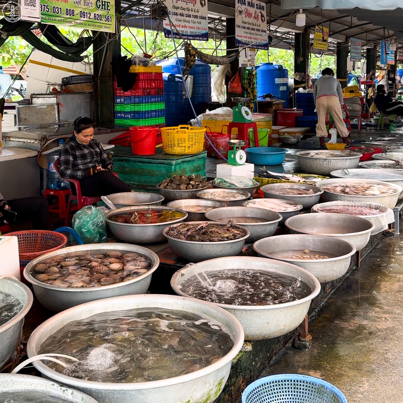 GHÉ XUYÊN MỘC - ĐỪNG BỎ QUA CHỢ HẢI SẢNTƯƠI NGONỞ HỒ TRÀM