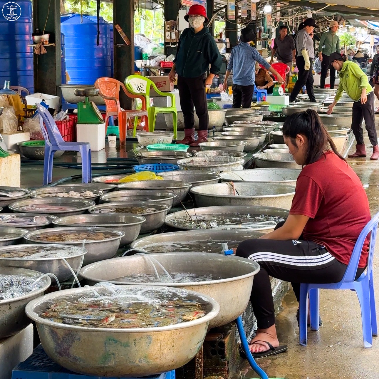 GHÉ XUYÊN MỘC - ĐỪNG BỎ QUA CHỢ HẢI SẢNTƯƠI NGONỞ HỒ TRÀM