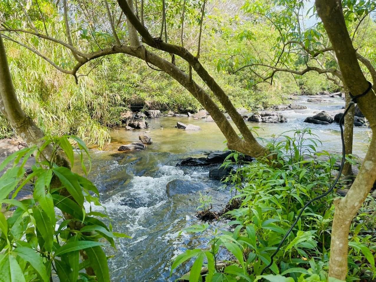 2 ngày 1 đêm tại Hồ Tràm