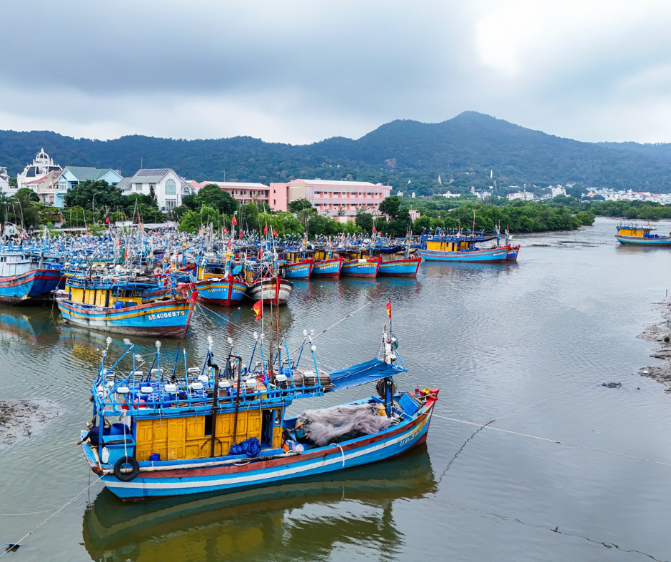 kênh Bến Đình