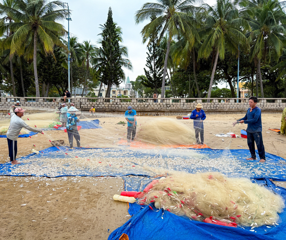 kéo lưới cá ở Bãi Trước