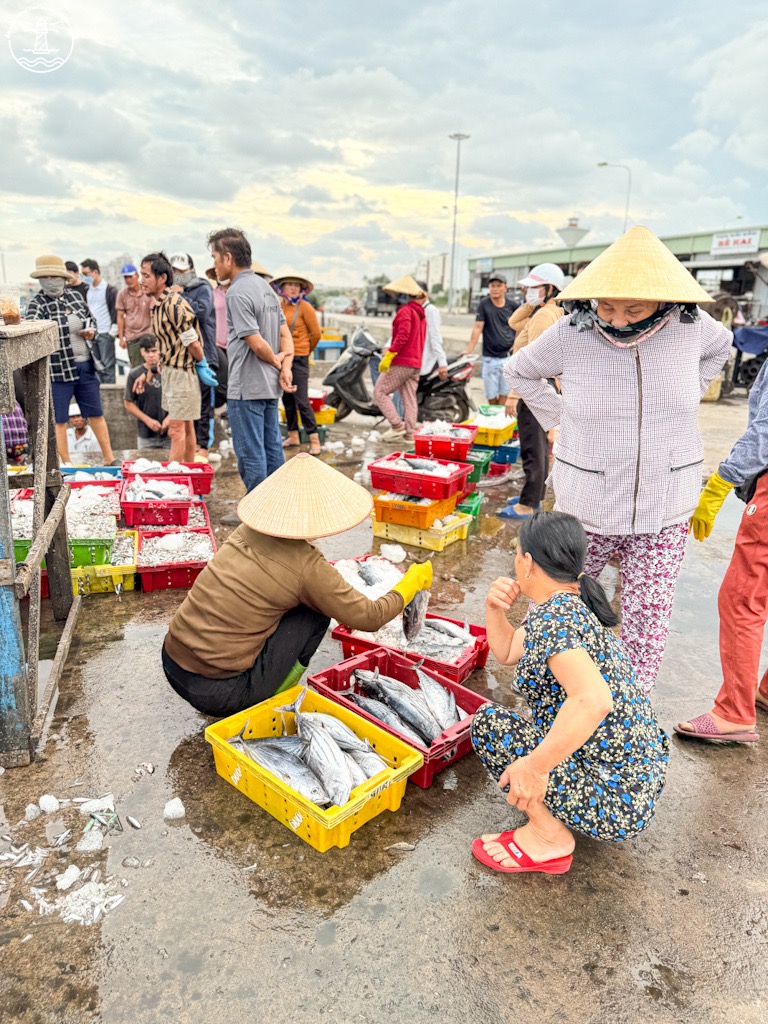 Cảng cá Bình Châu