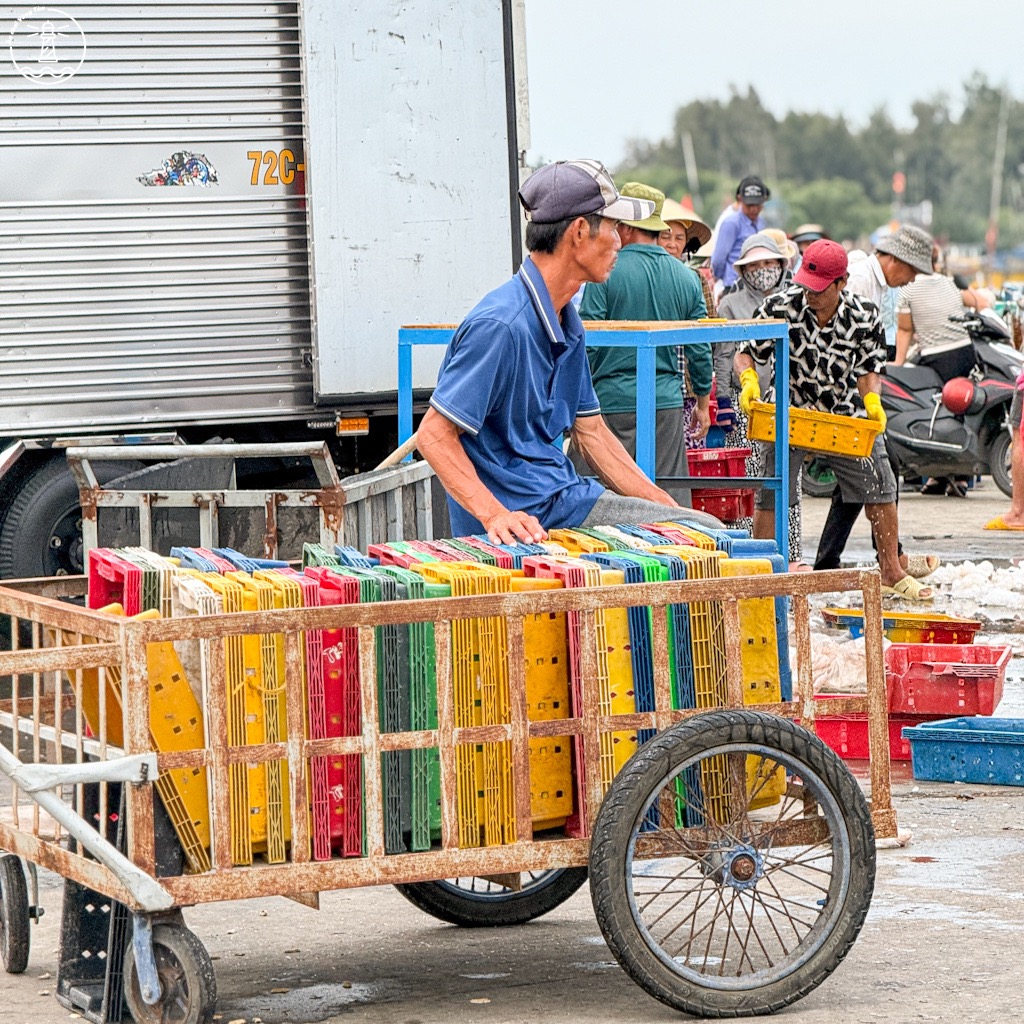 Cảng cá Bình Châu