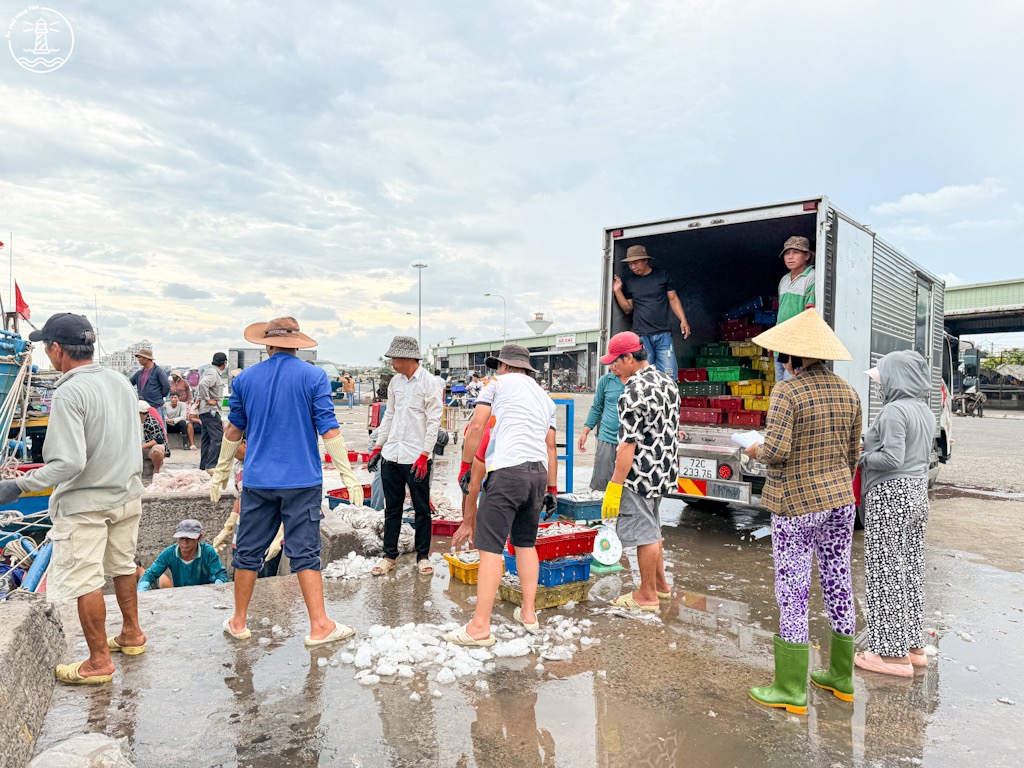 Cảng cá Bình Châu