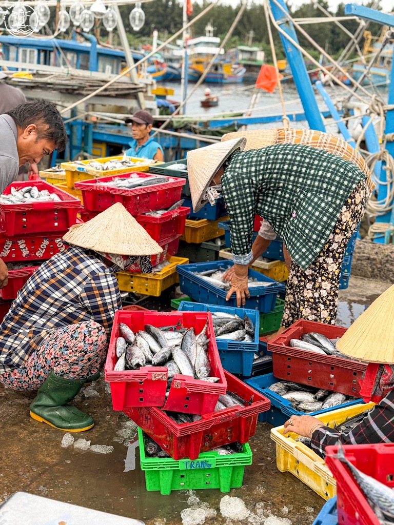 Cảng cá Bình Châu