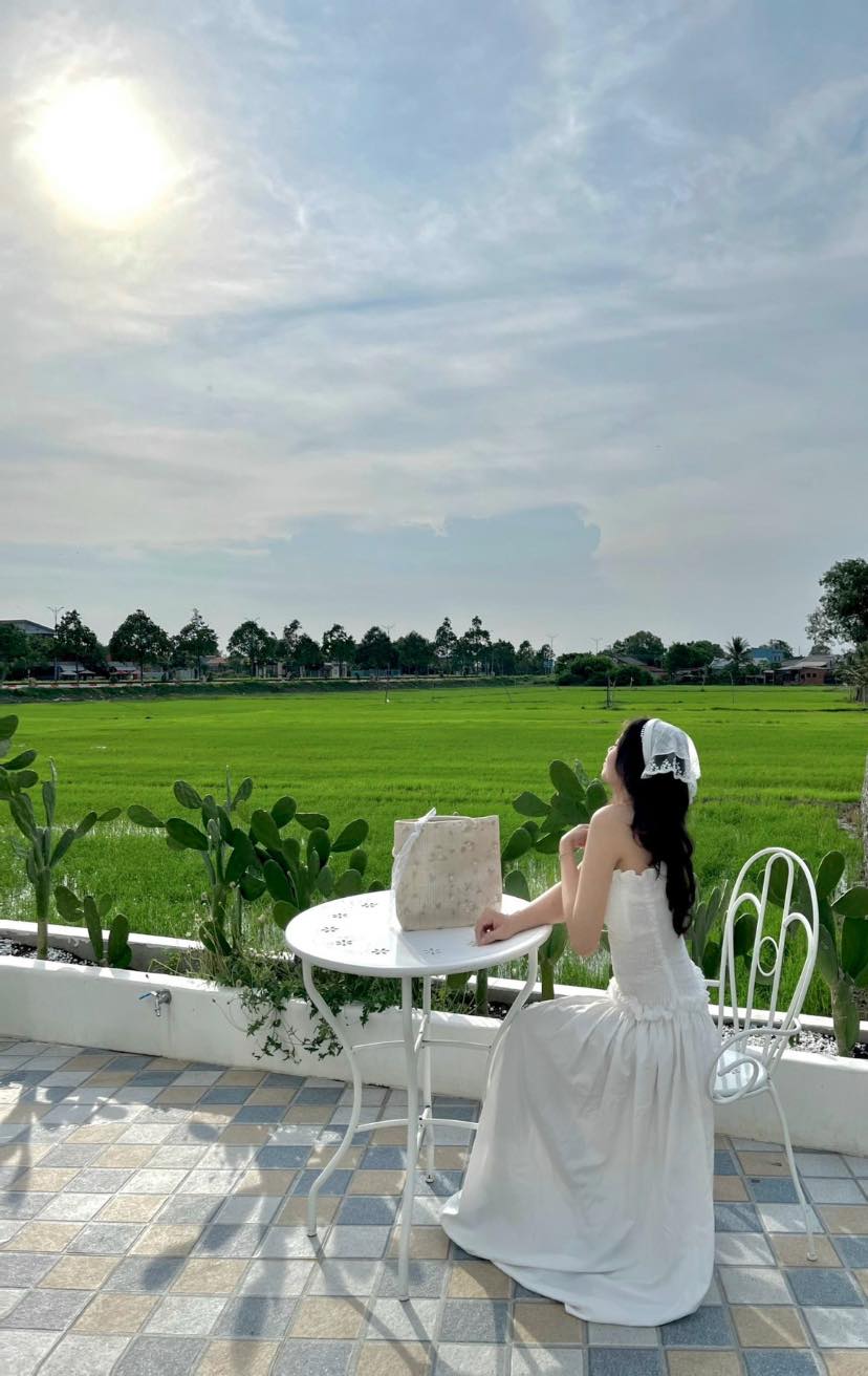 homestay view lúa tại Phước Hải