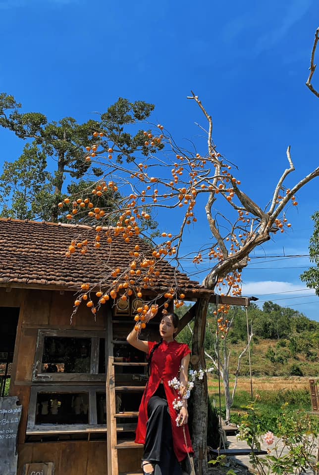 quán cafe vibe Đà Lạt ở Vũng Tàu