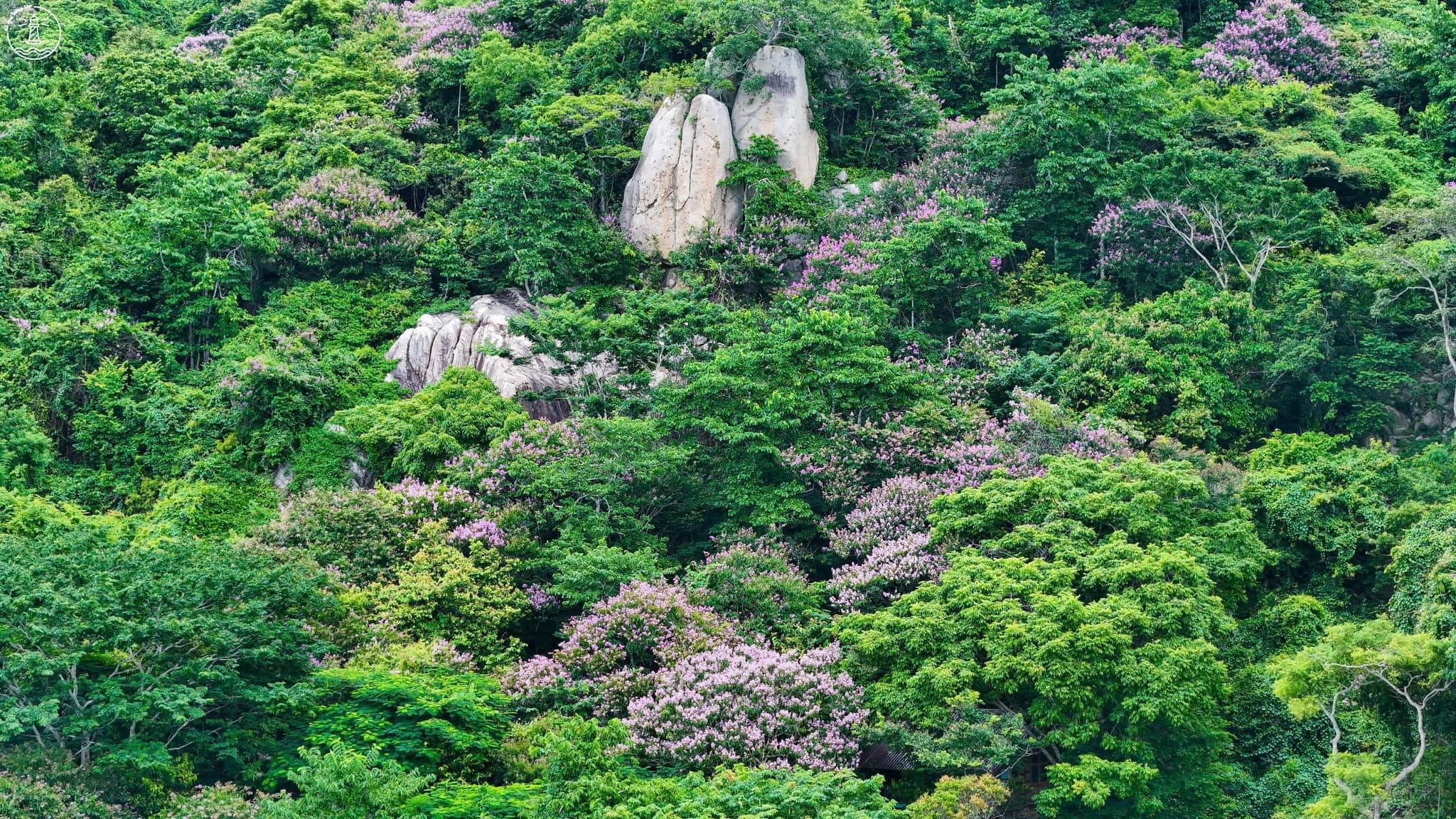 địa điểm du lịch Phước Hải