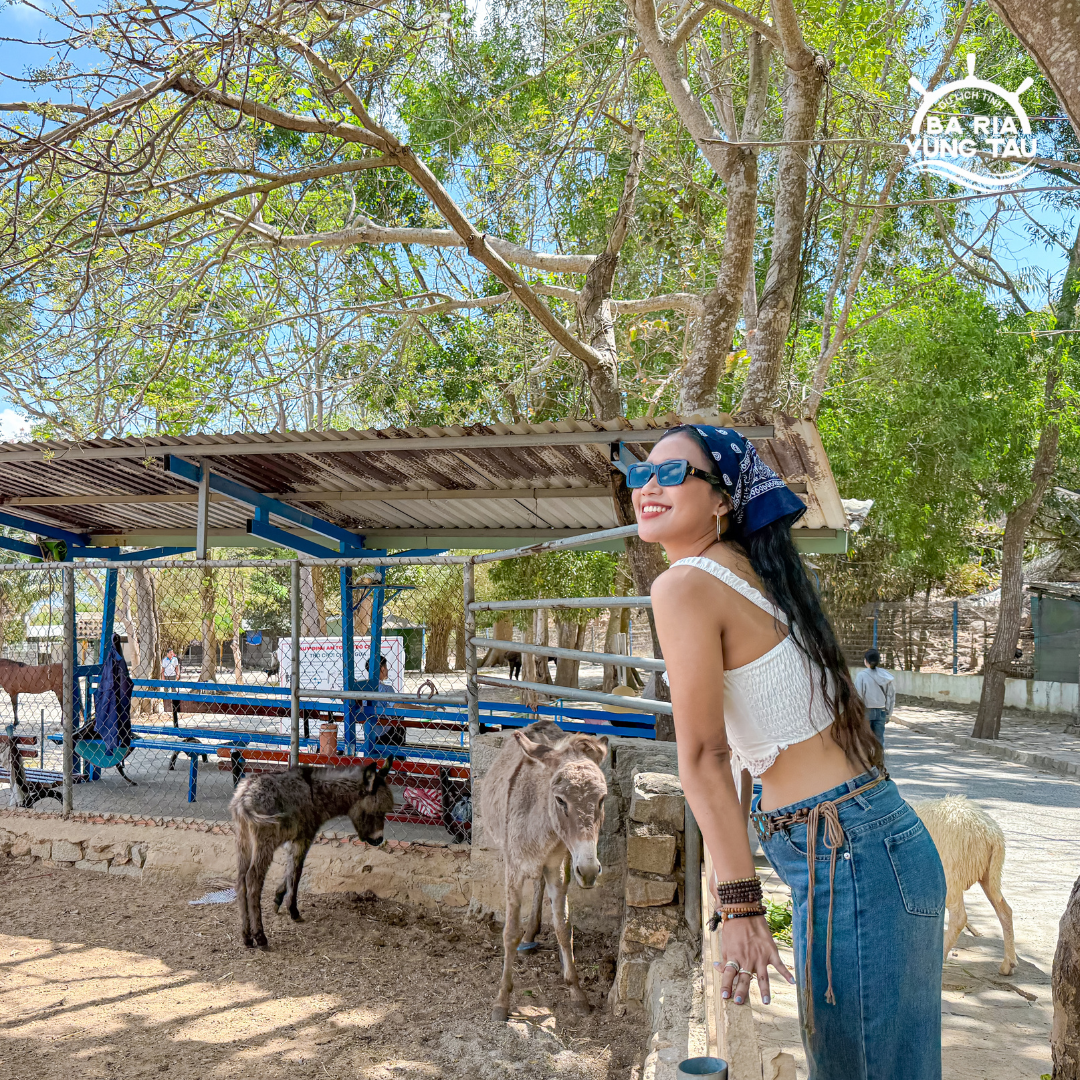 tour đêm Hồ Mây