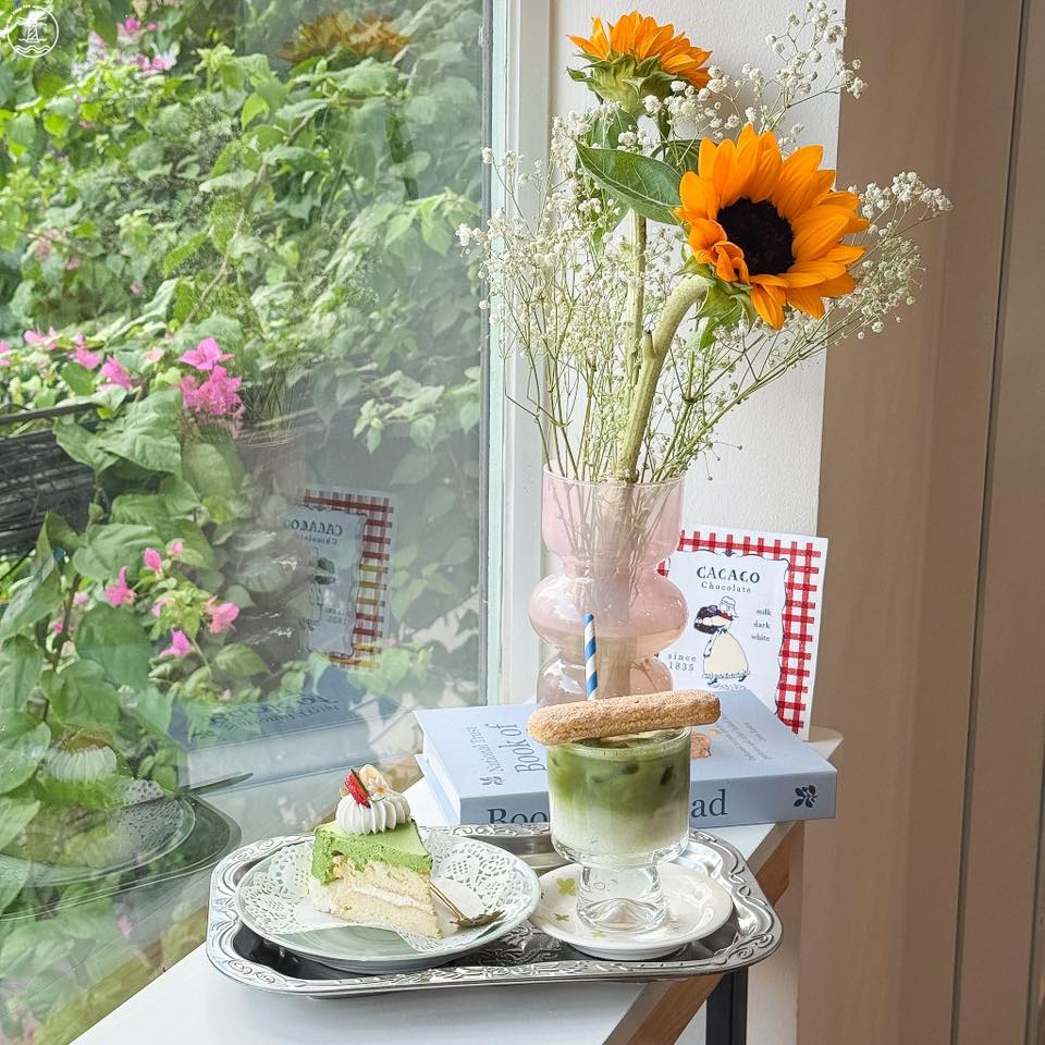 Miso Cake Studio Vũng Tàu
