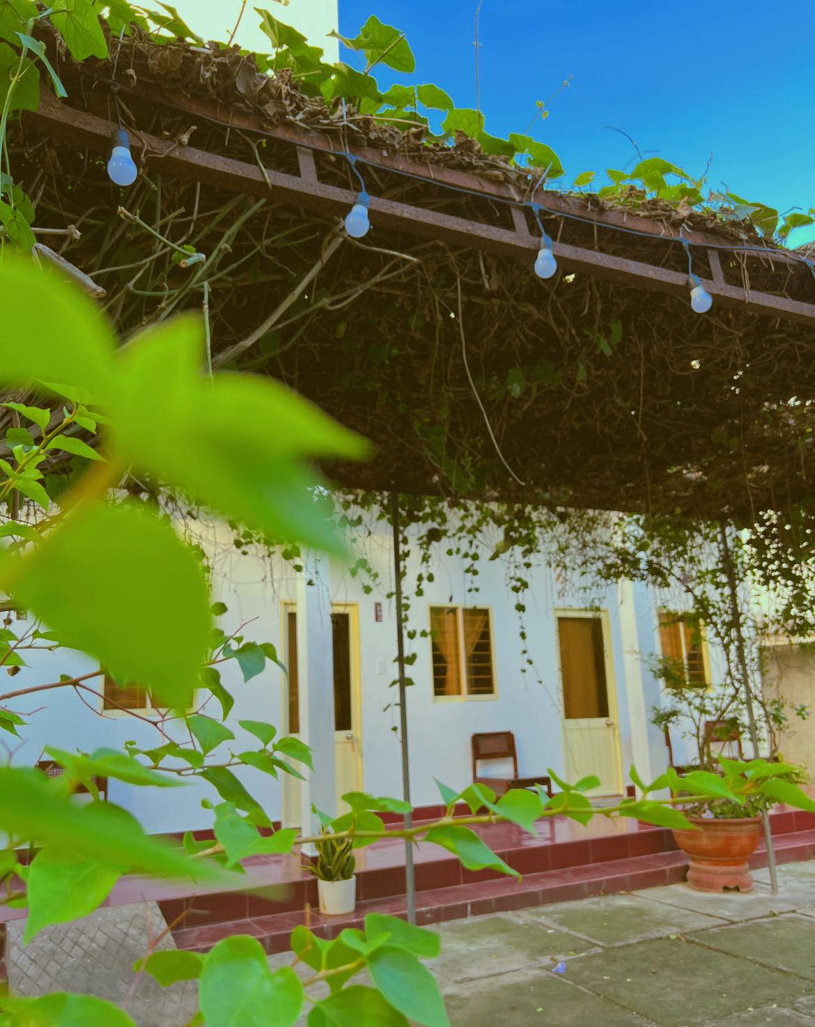 du lịch Long Hải 2 ngày 1 đêm
