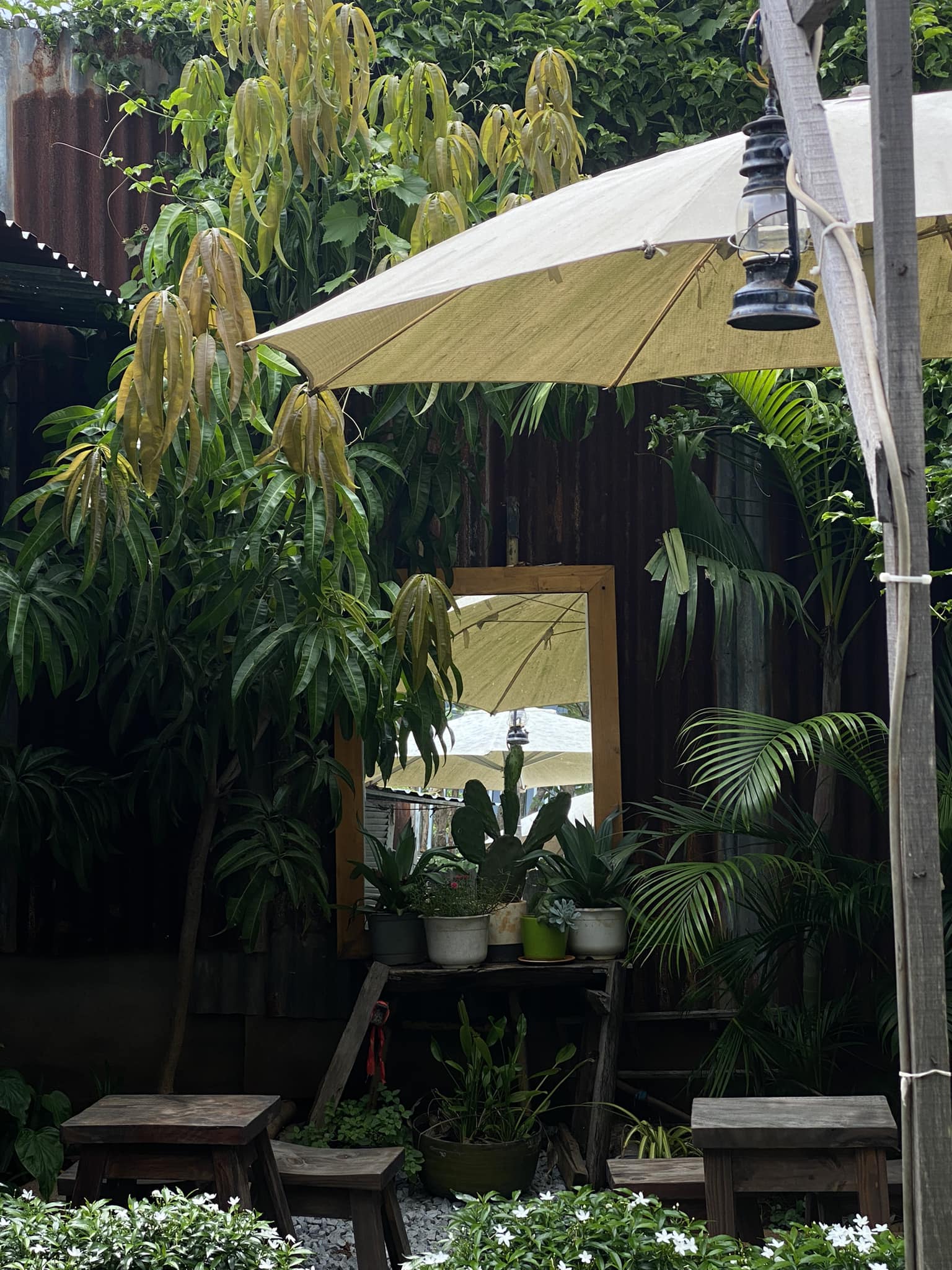 du lịch Long Hải 2 ngày 1 đêm
