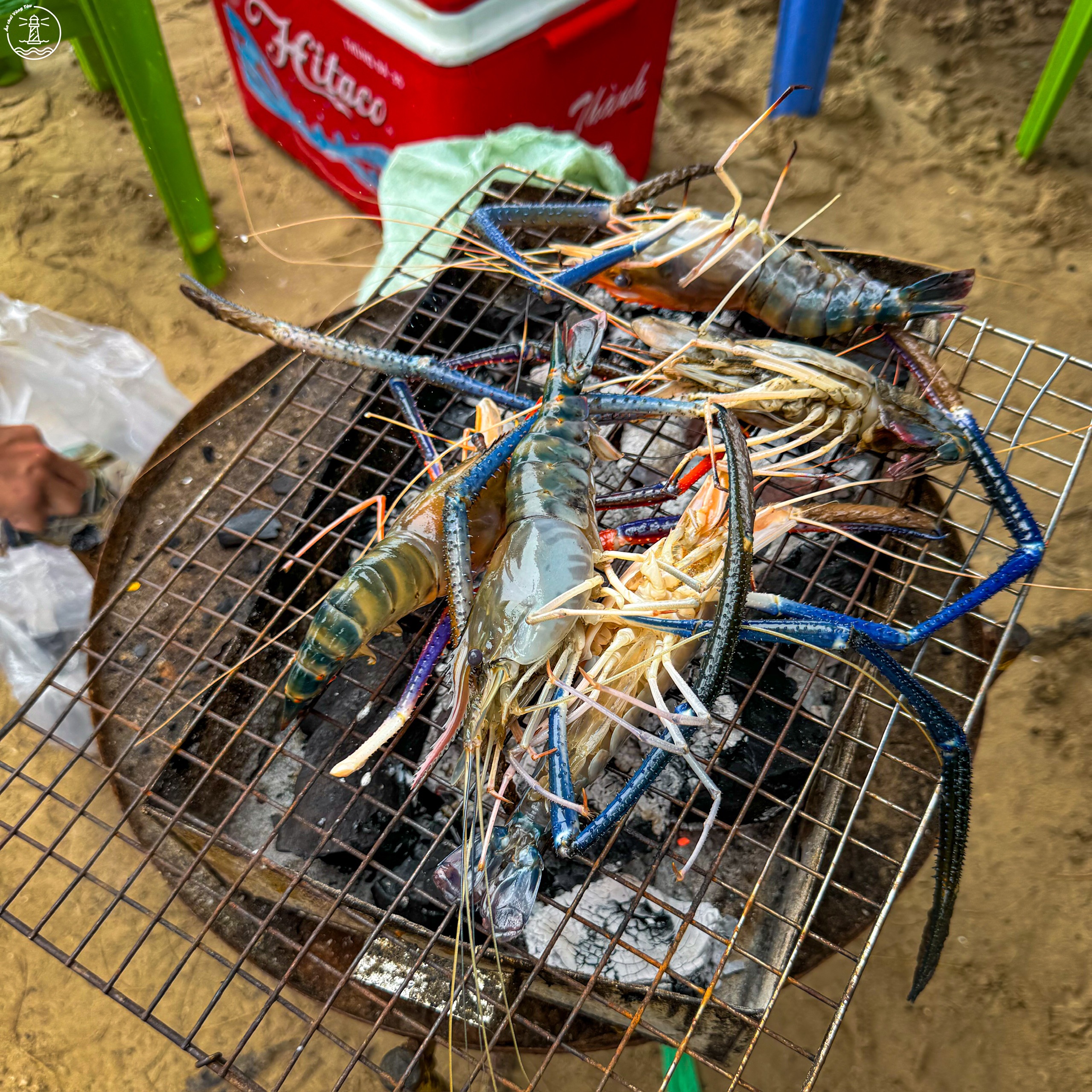 camping Vũng Tàu