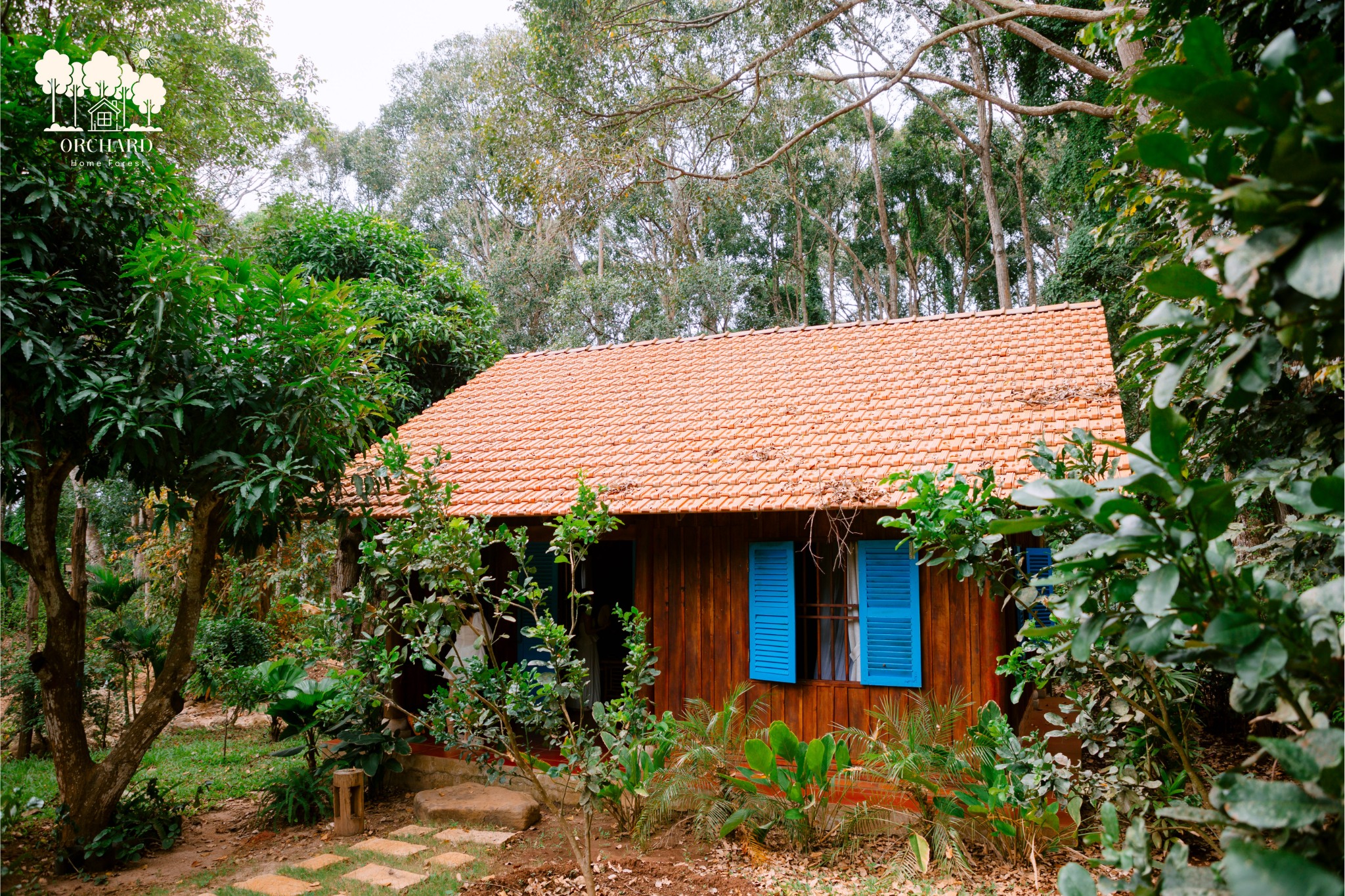 Orchard Home Forest