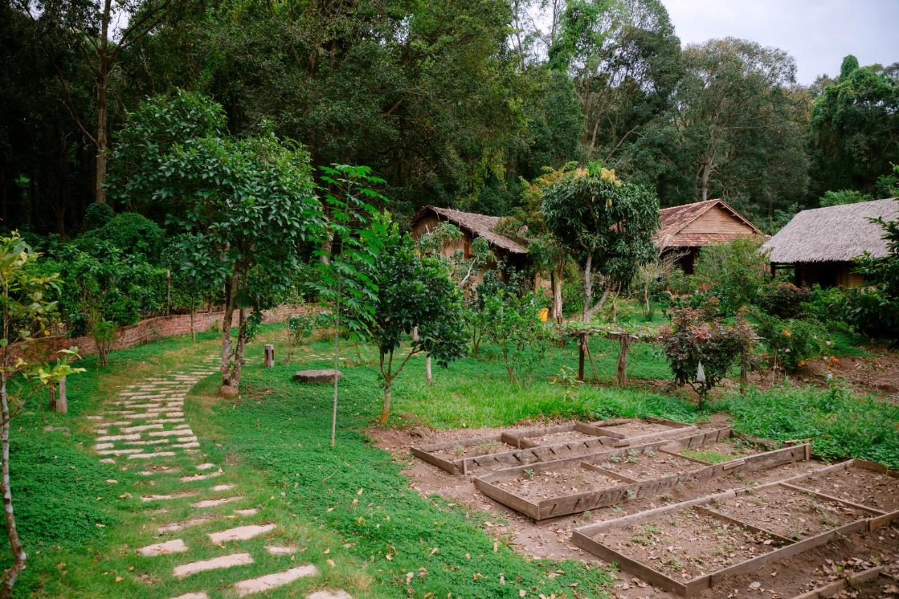 Orchard Home Forest