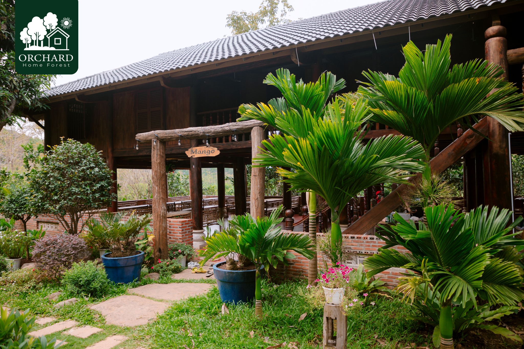 Orchard Home Forest