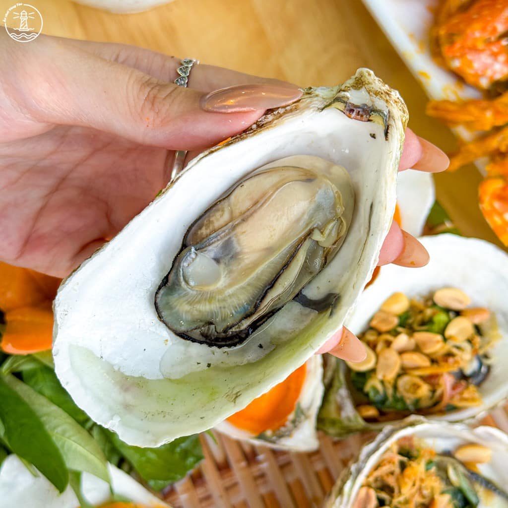 Du lịch Phước Hải tiết kiệm