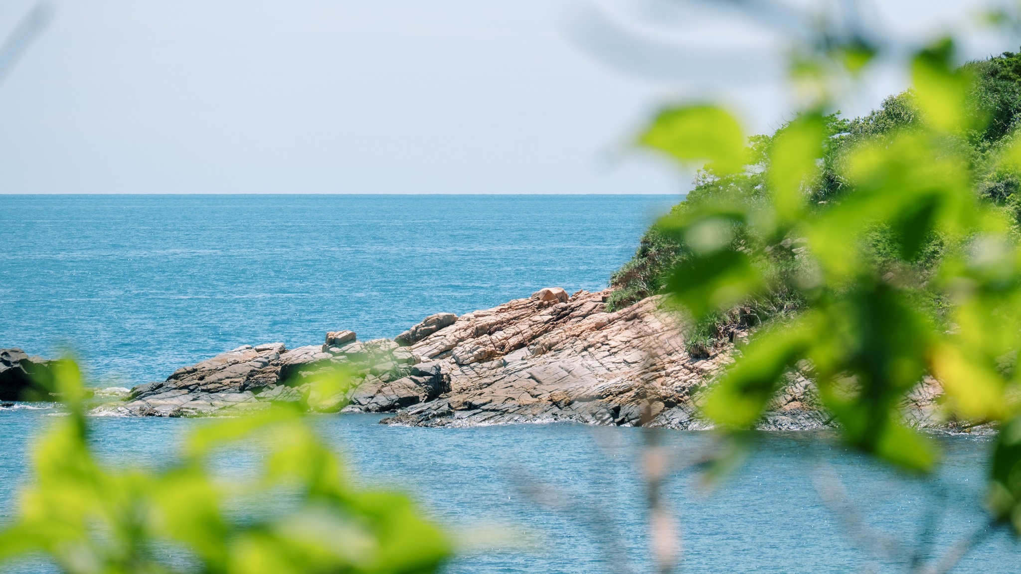 Bãi Bàng Côn Đảo