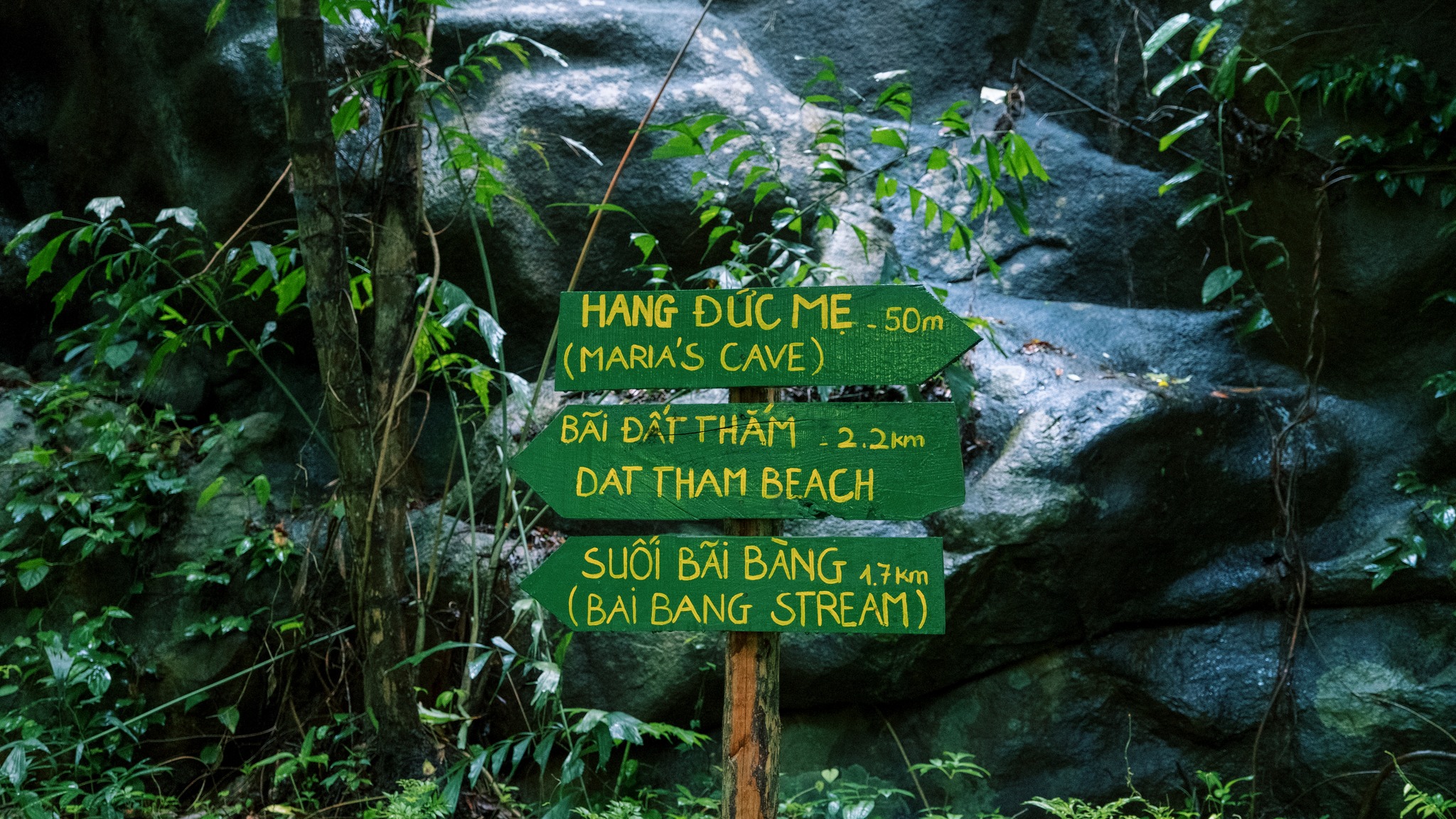 Bãi Bàng Côn Đảo