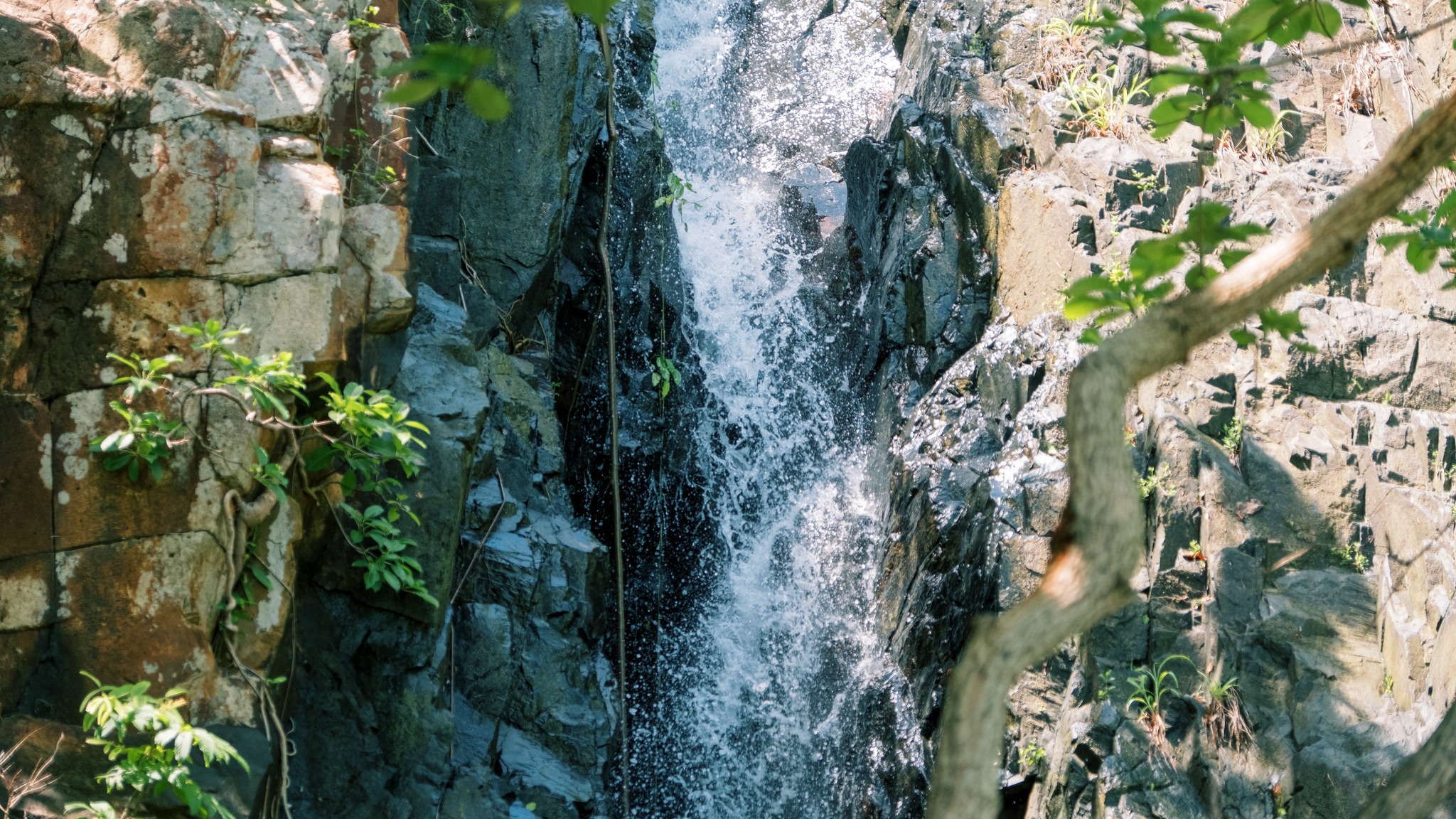 Bãi Bàng Côn Đảo