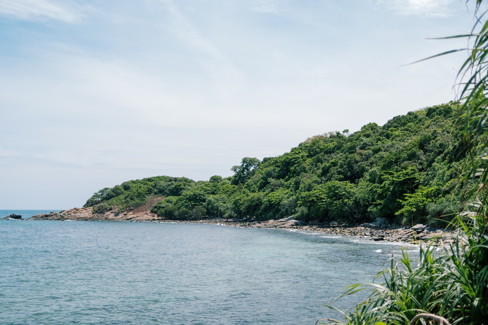 Bãi Bàng Côn Đảo