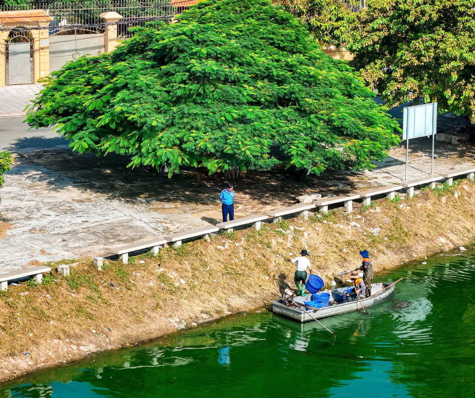 Hồ Bàu Sen Vũng Tàu
