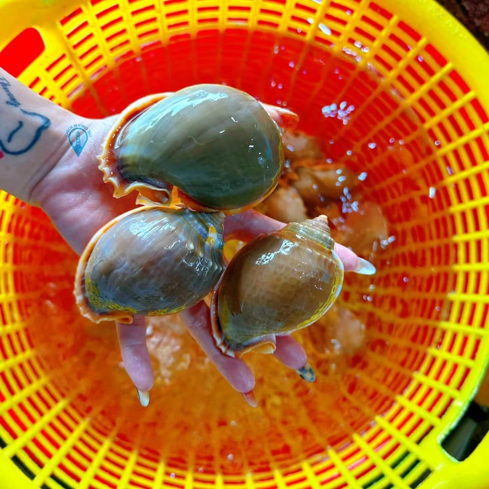 địa điểm ăn chơi Bãi Trước