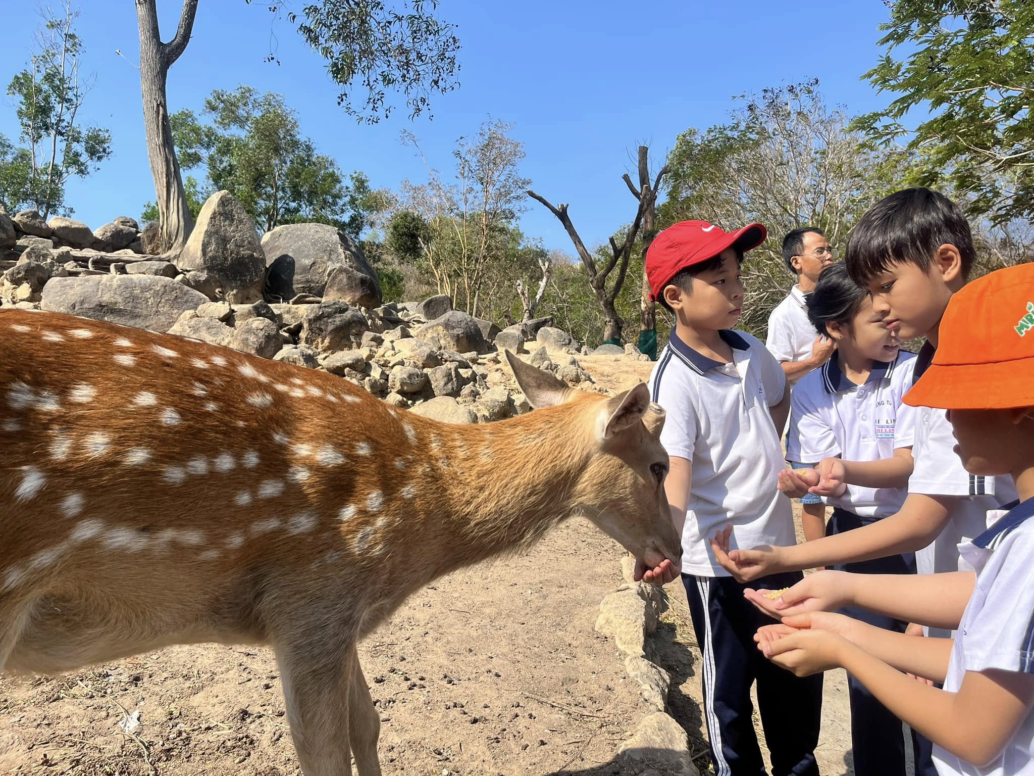 khu vui chơi trẻ em Vũng Tàu