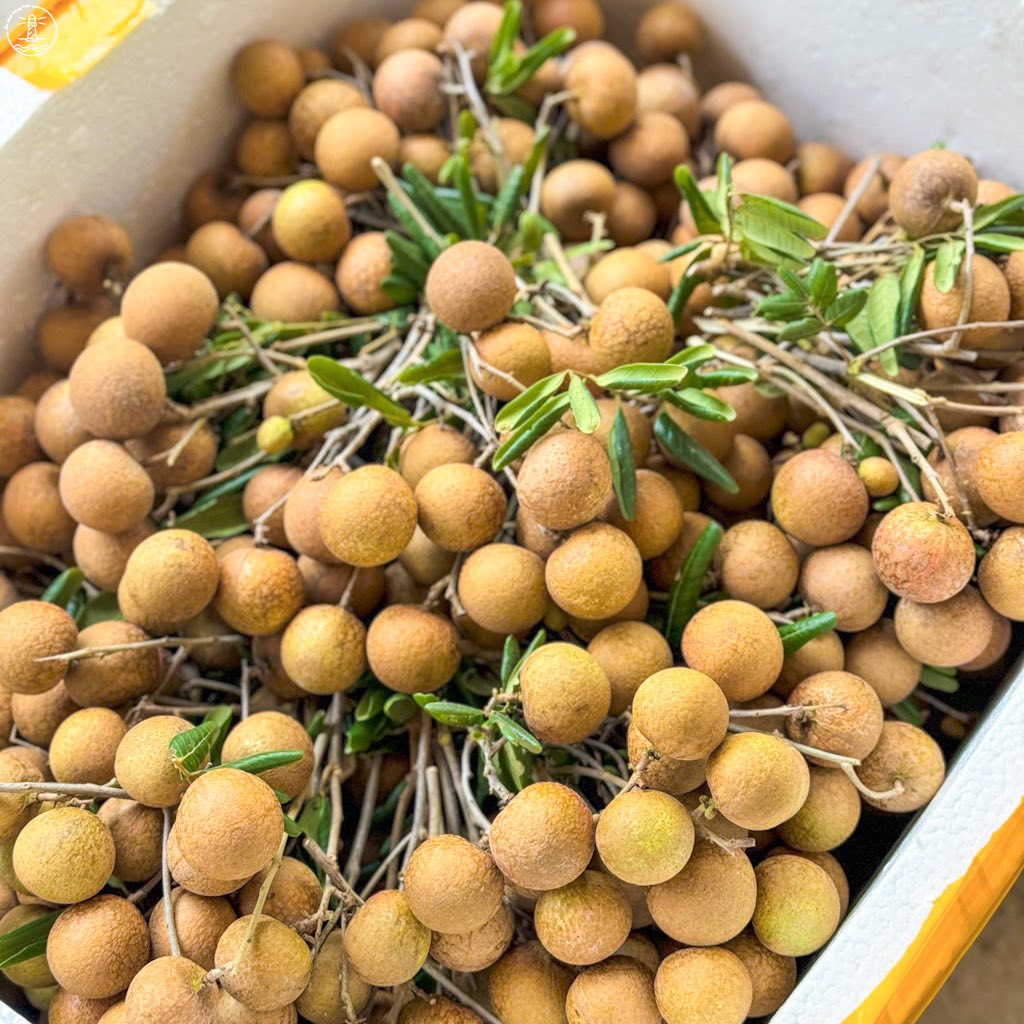 vườn nhãn Bác Phán