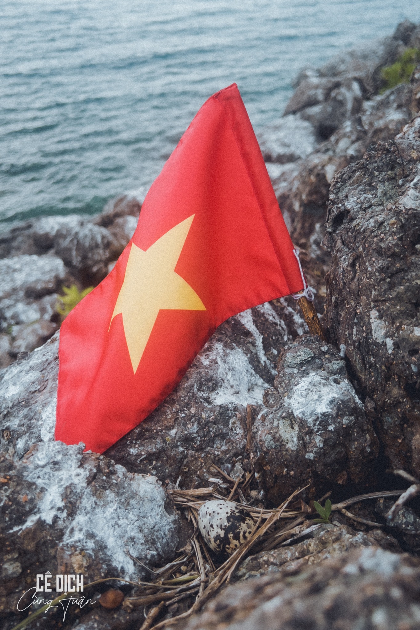 du lịch Hòn Tre Côn Đảo