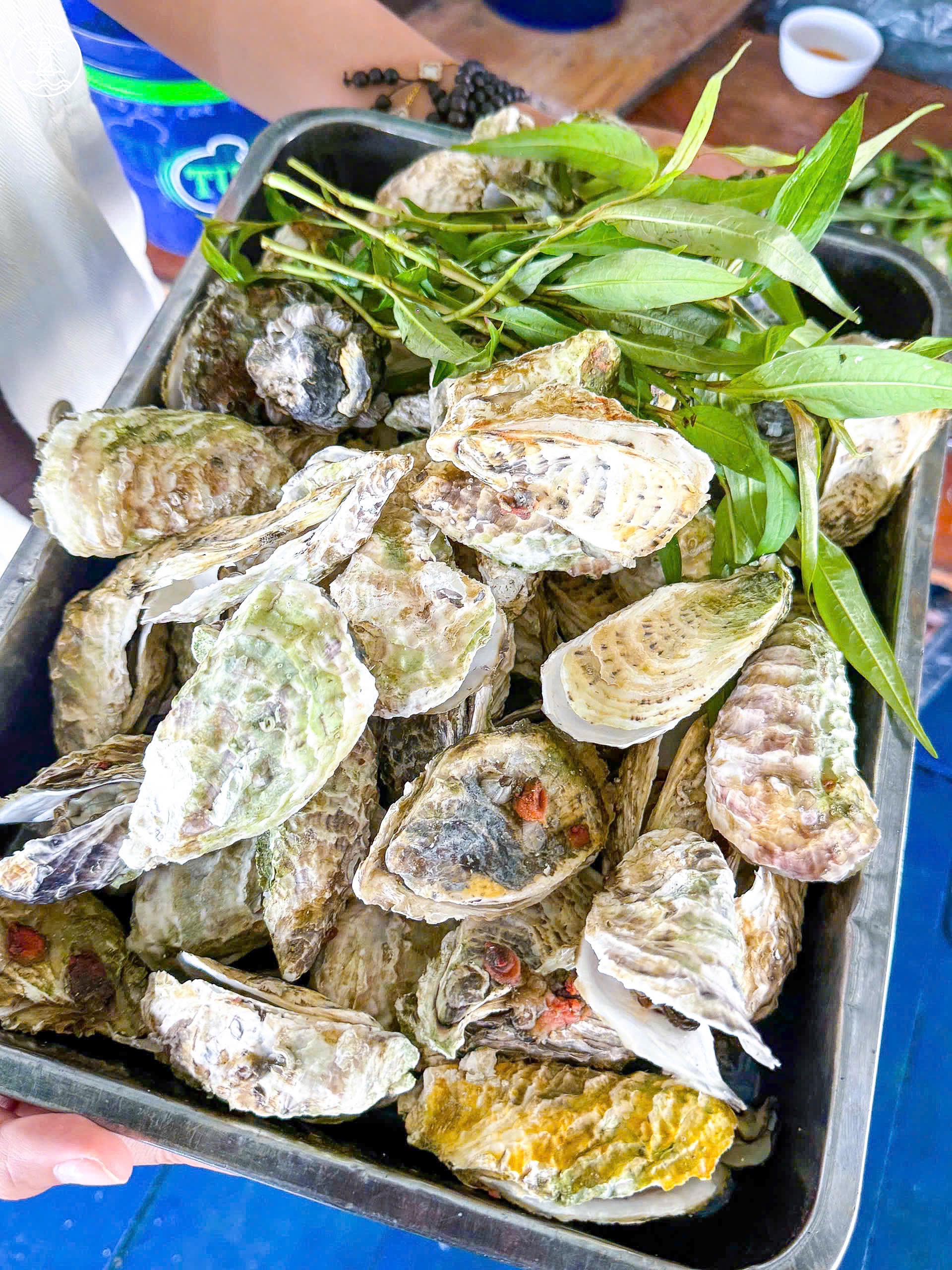 Tour Làng Bè tại Vũng Tàu