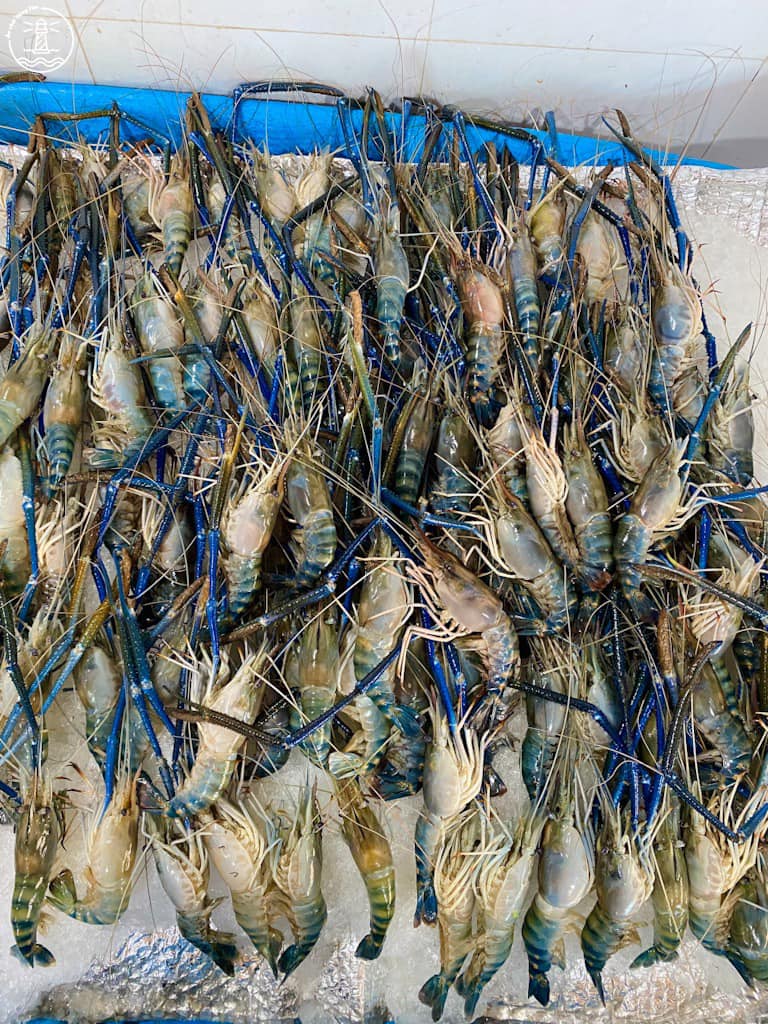 quán nướng gần bãi sau Vũng Tàu