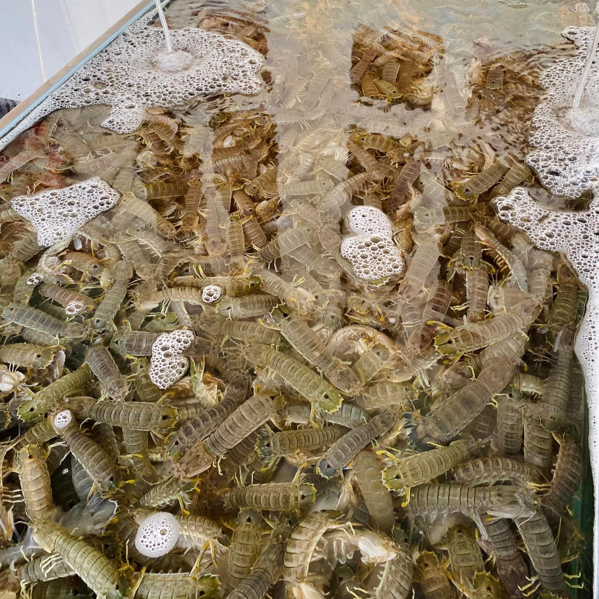 quán nướng gần bãi sau Vũng Tàu