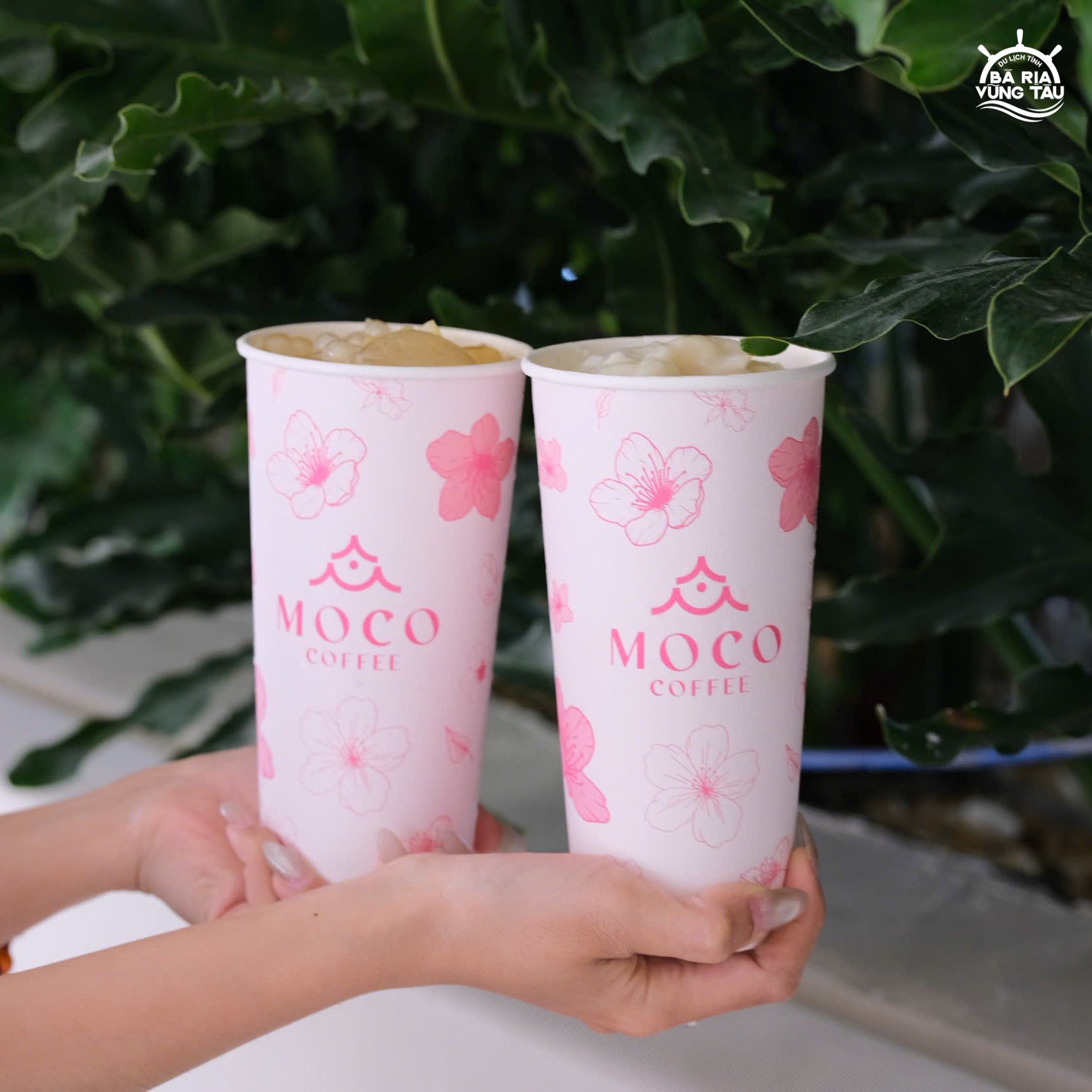 The Moco Long Hải