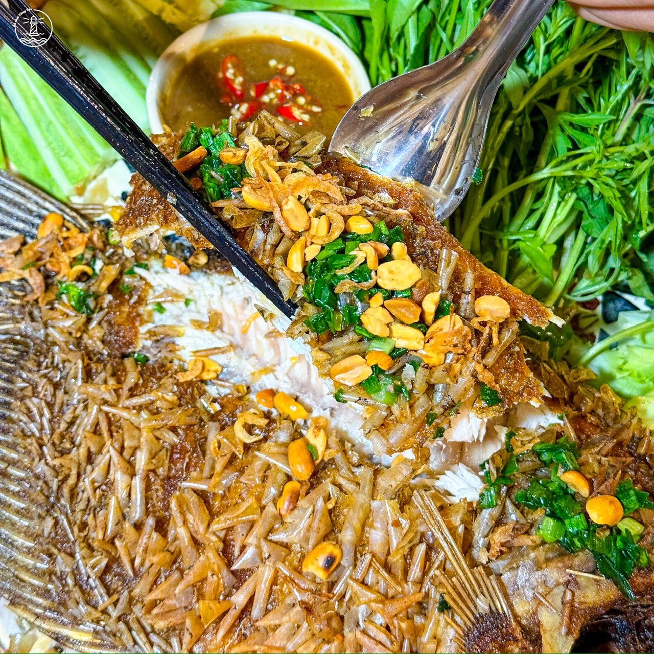 quán mồi xịn bia ngon Vũng Tàu