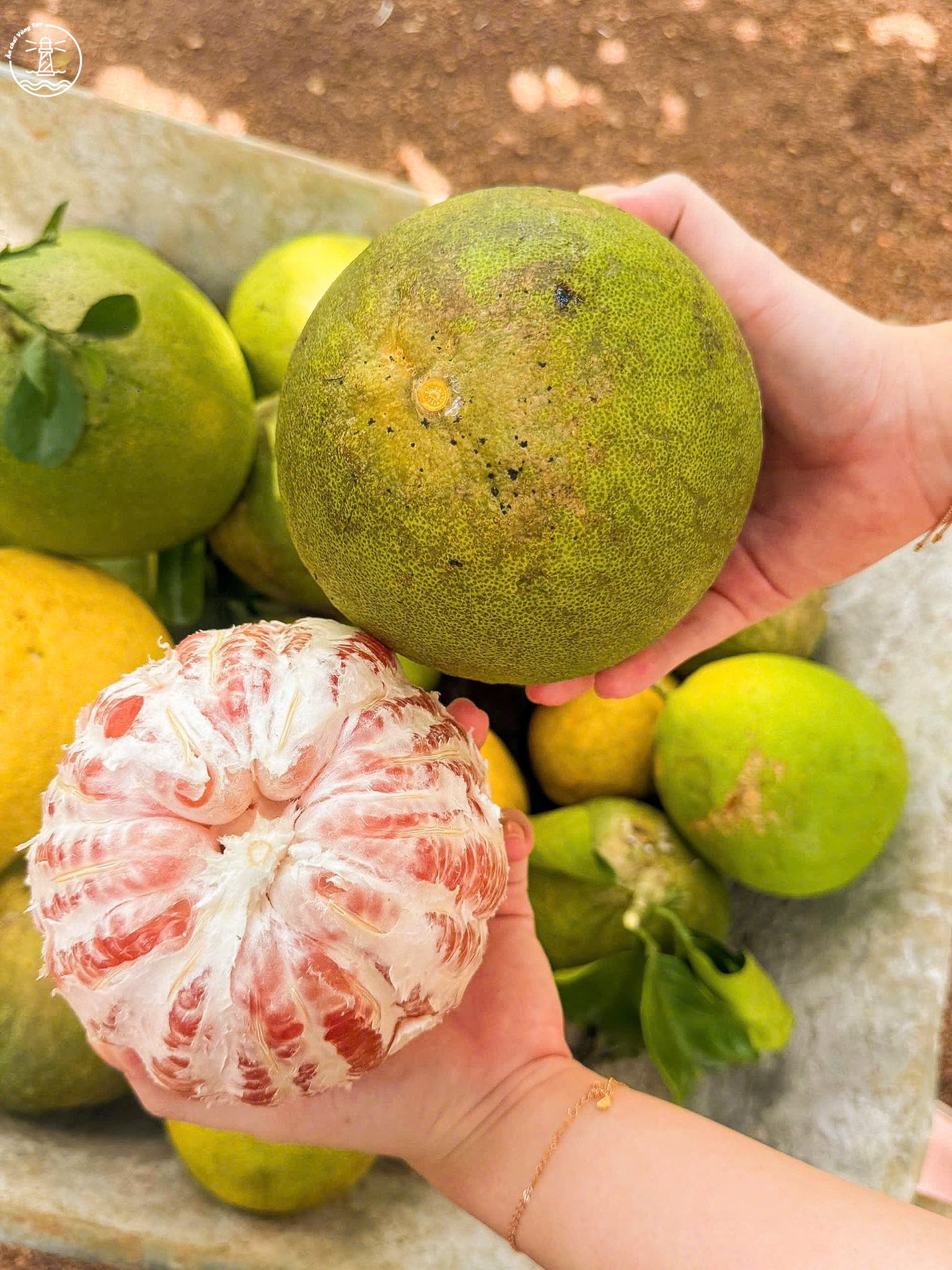 quán Suối ở Châu Đức