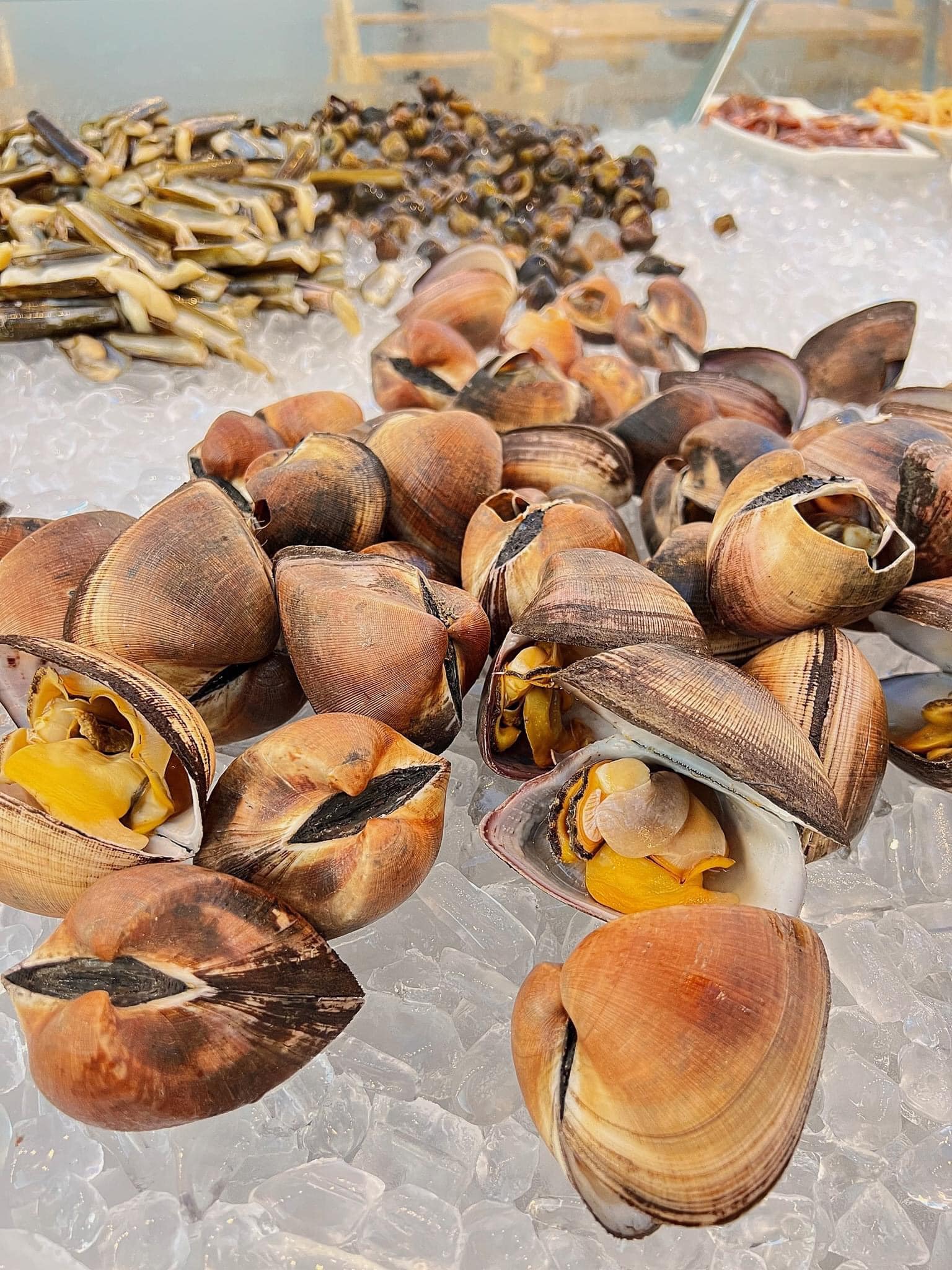 top quán buffet ngon Vũng Tàu