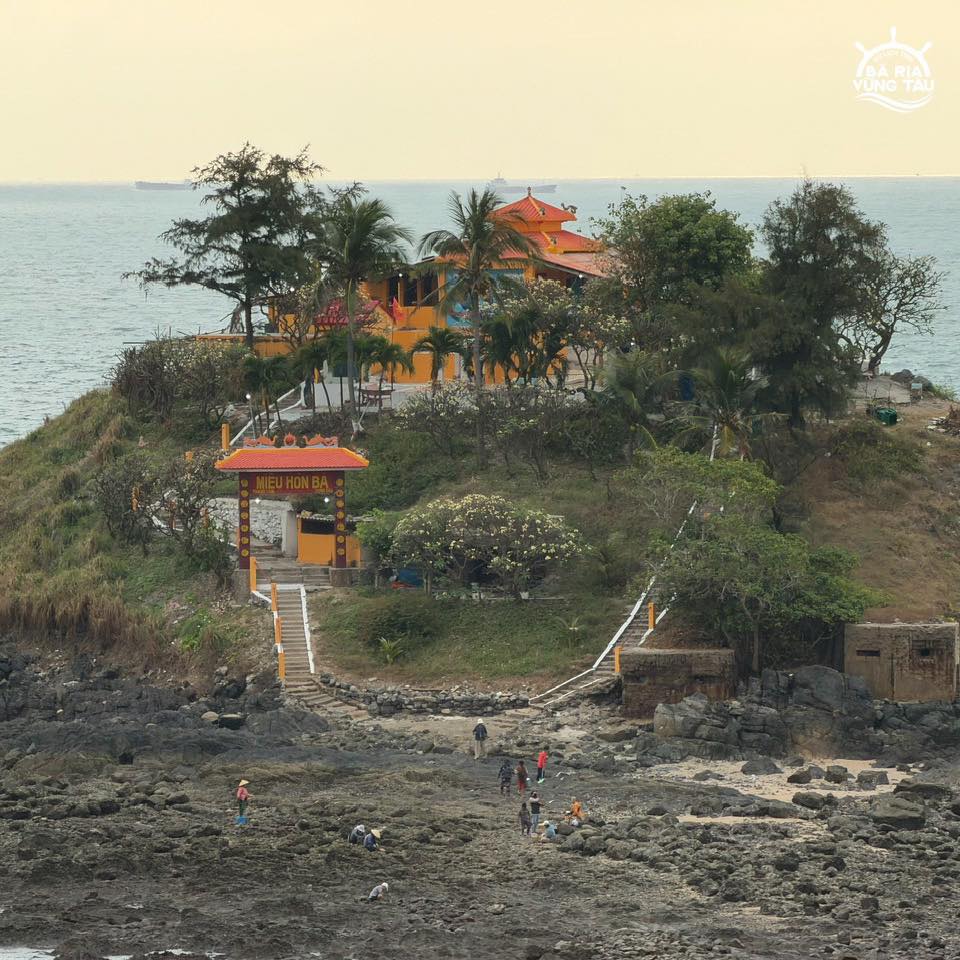 ACVT chia sẻ cách đi và lịch nước rút Hòn Bà Vũng Tàu vào tháng 2/2026 để bạn có thể có được trải nghiệm trên con đường độc nhất vô nhị này