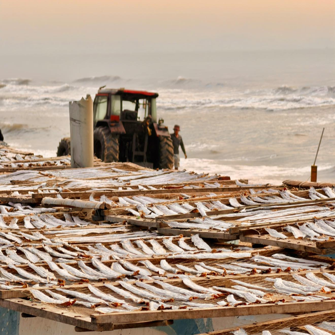 Không chỉ là review, mỗi video trên kênh Tiktok “Làm Dâu Long Hải” là lời tự tình của Trần Như Thuận với quê hương thứ hai yêu thương