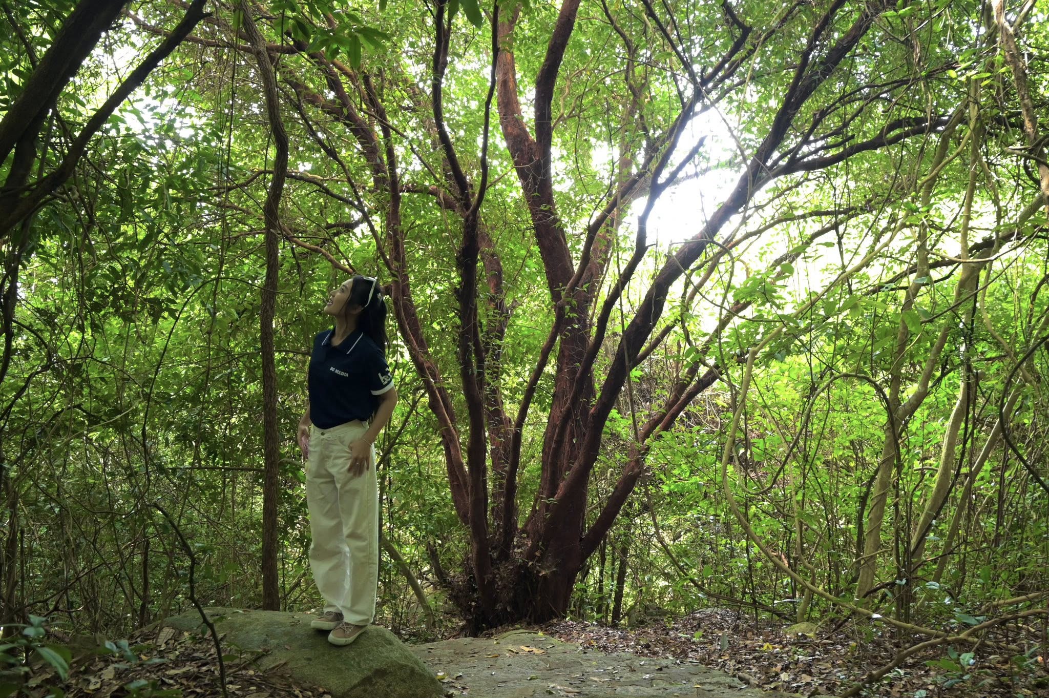 địa điểm vui chơi Phước Hải 2026