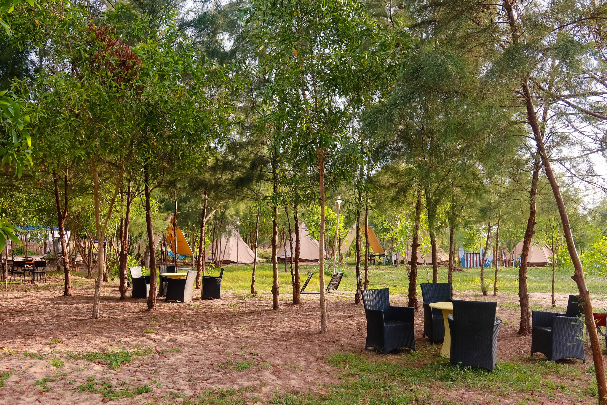 khu Glamping Phước Hải 2026