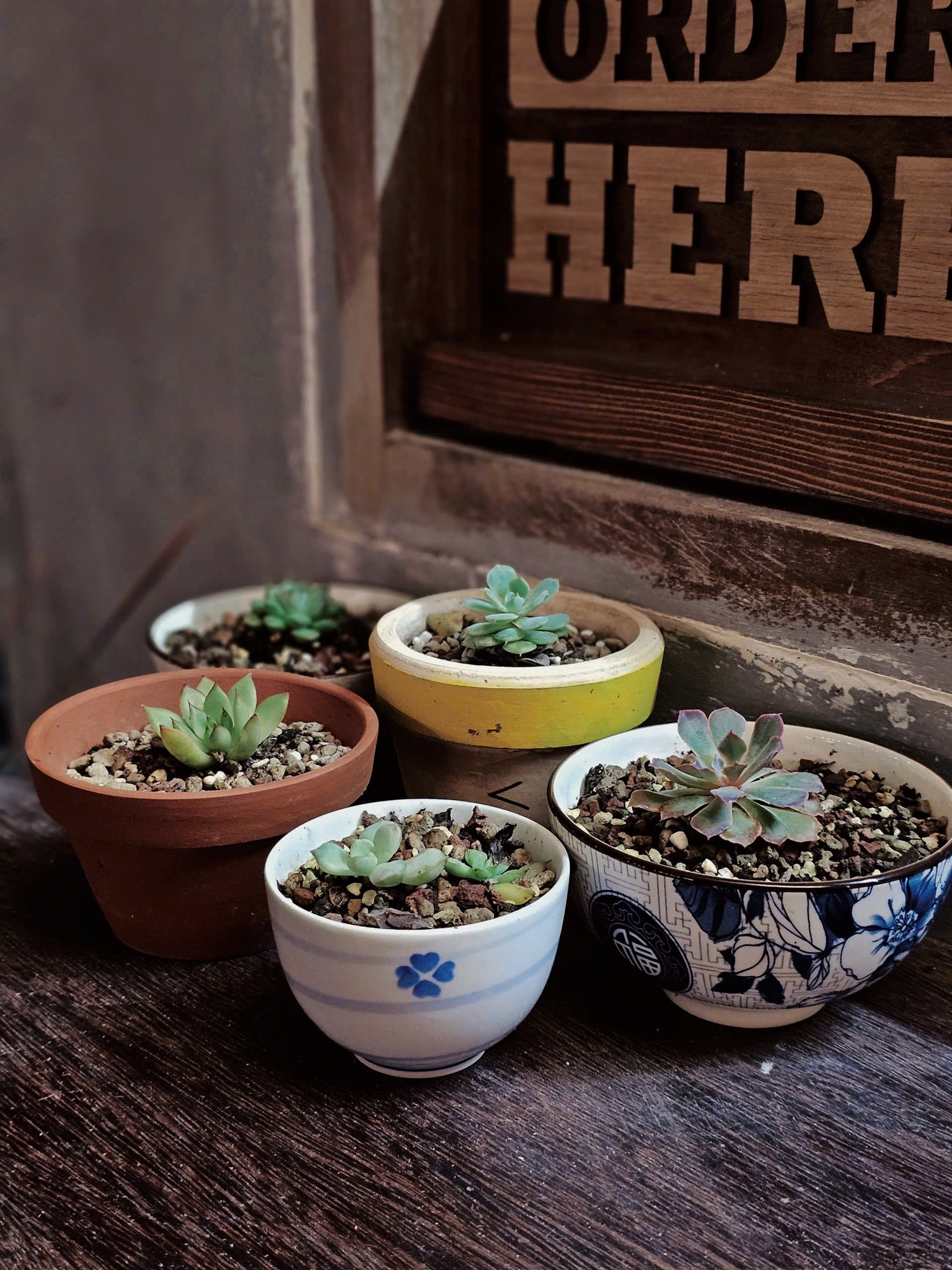 quán cafe Đất Đỏ đẹp