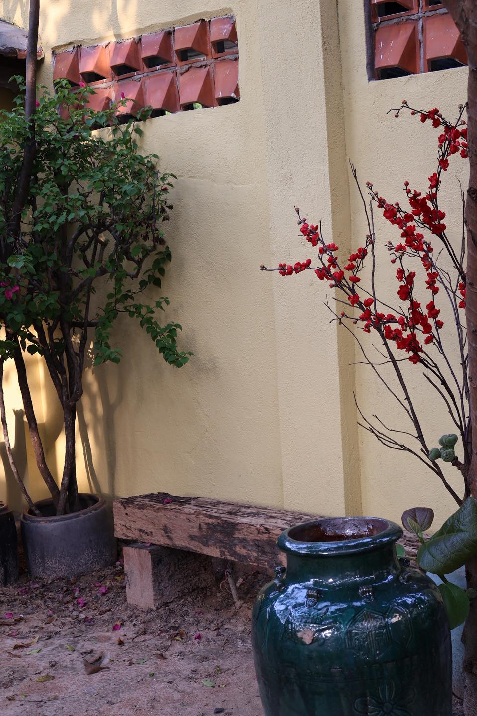 quán cafe Đất Đỏ đẹp