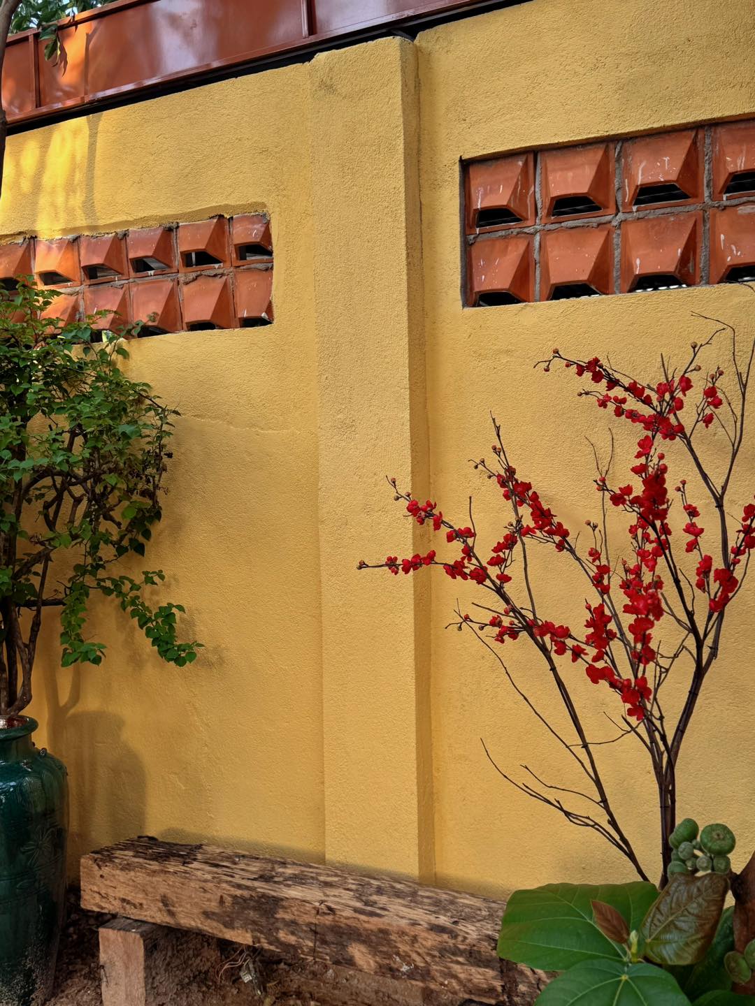 quán cafe Đất Đỏ đẹp